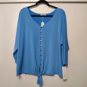 Blue Button-down Blouse Notations 3X